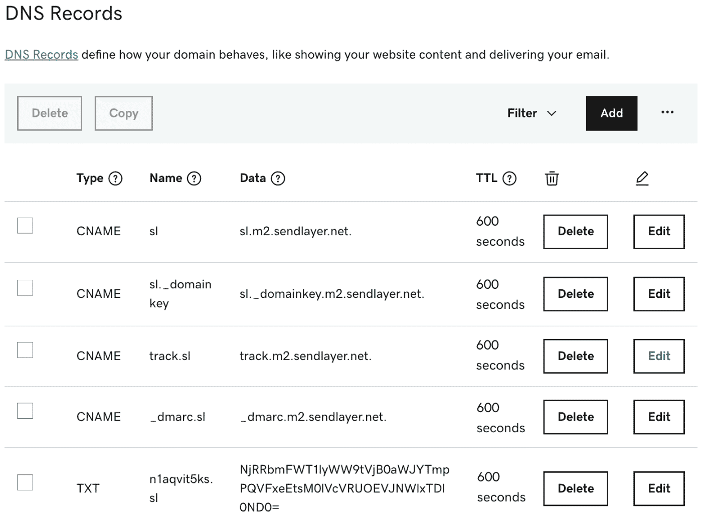 DNS settings showing CNAME records being added
